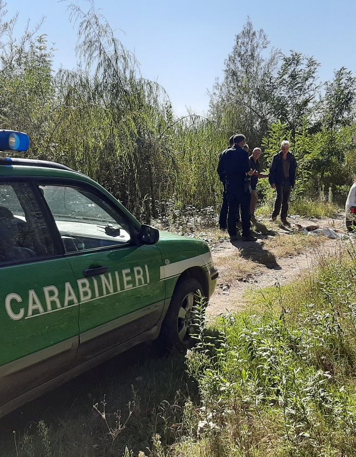 Cane “giustiziato” a Vigone con un fucile nei boschi di Santa Maria (FOTO)