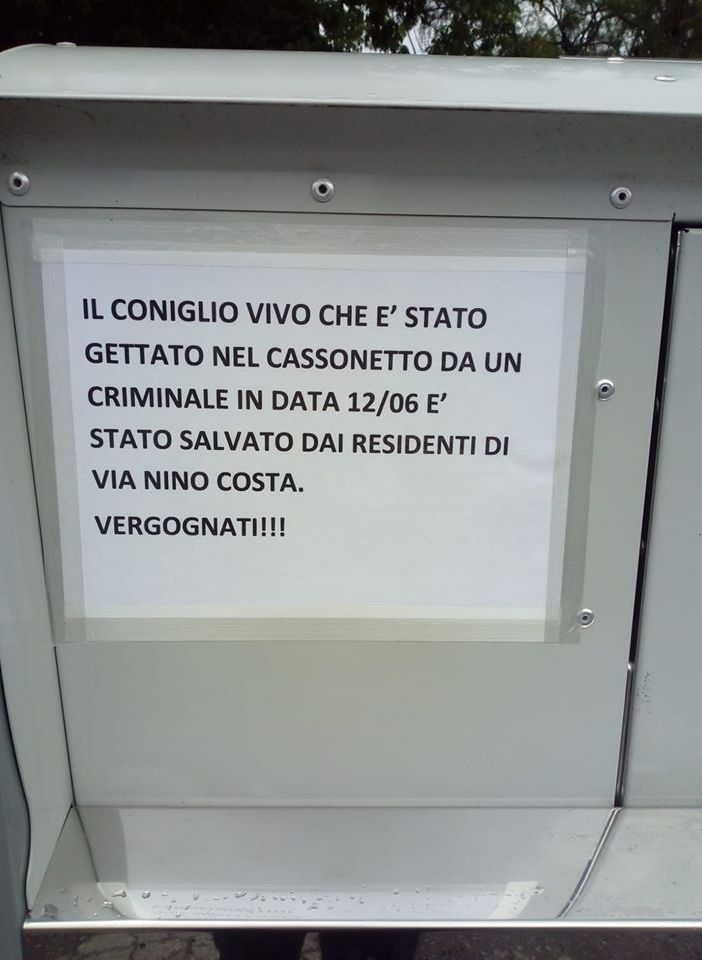 Non ce l’ha fatta il coniglio abbandonato in un cassonetto a Vigone