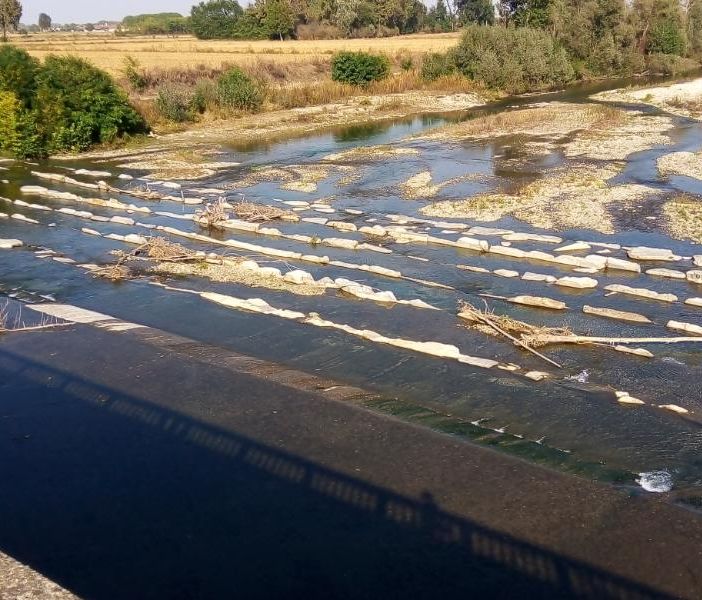 La ‘scala di risalita’ con dei detriti boschivi impigliati