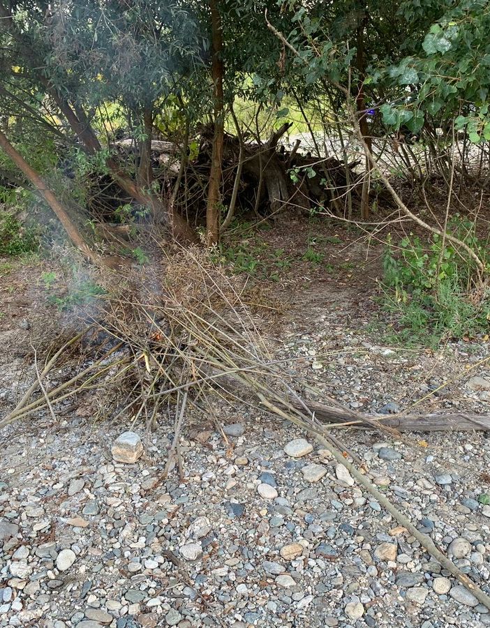 Accendono un fuoco nell’alveo del Pellice vicino alle piante: multata una famiglia