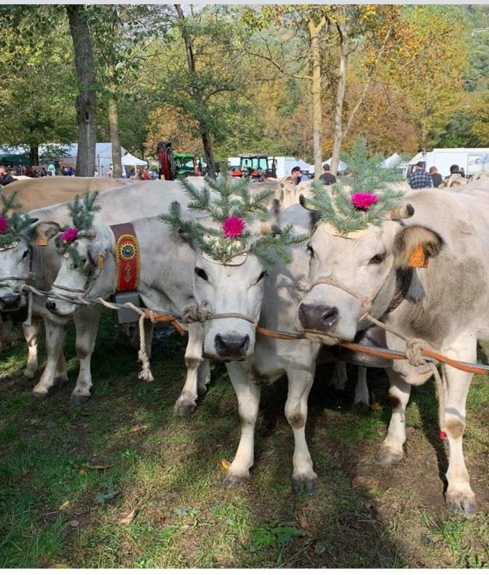 Fiera d'autunno a Villar Pellice