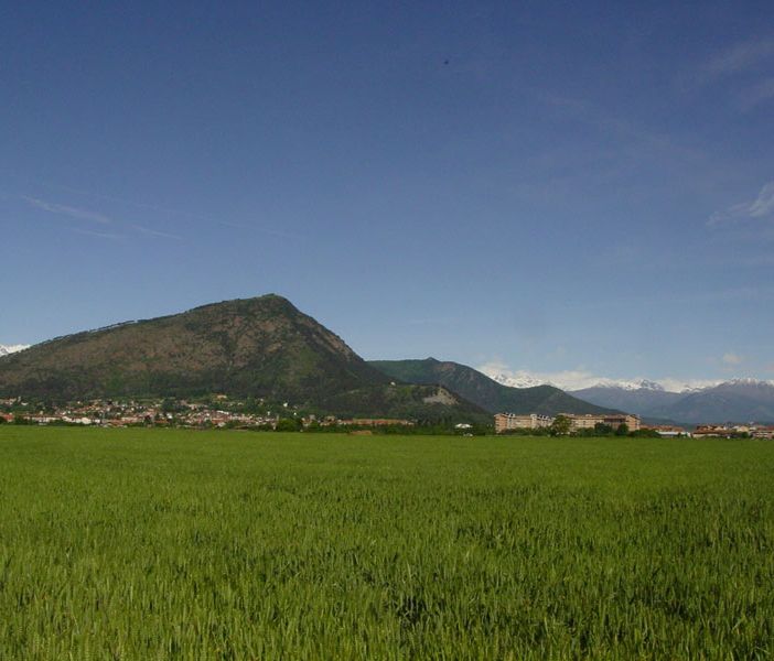 Un'estate nel parco naturale del monte San Giorgio