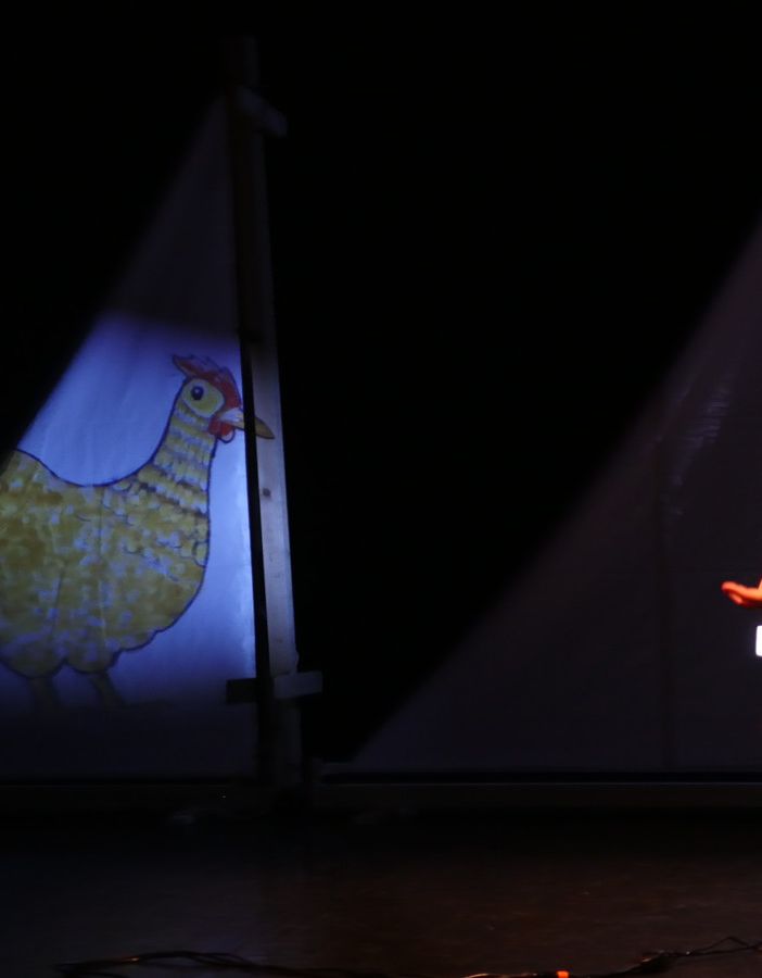 L'evoluzione secondo Darwin in scena a Rivoli: un viaggio sul &quot;Beagle&quot; a 210 anni dalla nascita