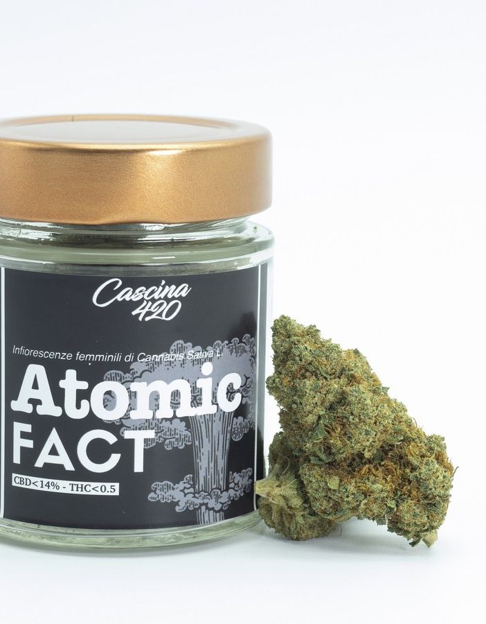 Un'impresa giovane, fresca e dinamica, che guarda al futuro innovando il commercio di cannabis light