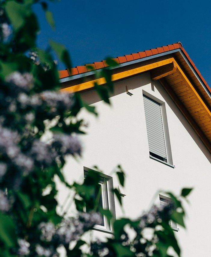 tetto di una casa che sbuca tra gli alberi