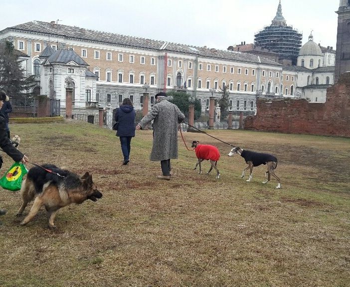 A Torino una nuova area cani alle Porte Palatine: M5S a confronto con i cittadini