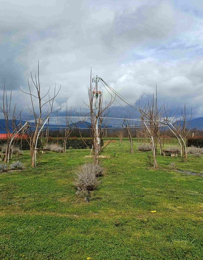 Azienda agricola a Cumiana