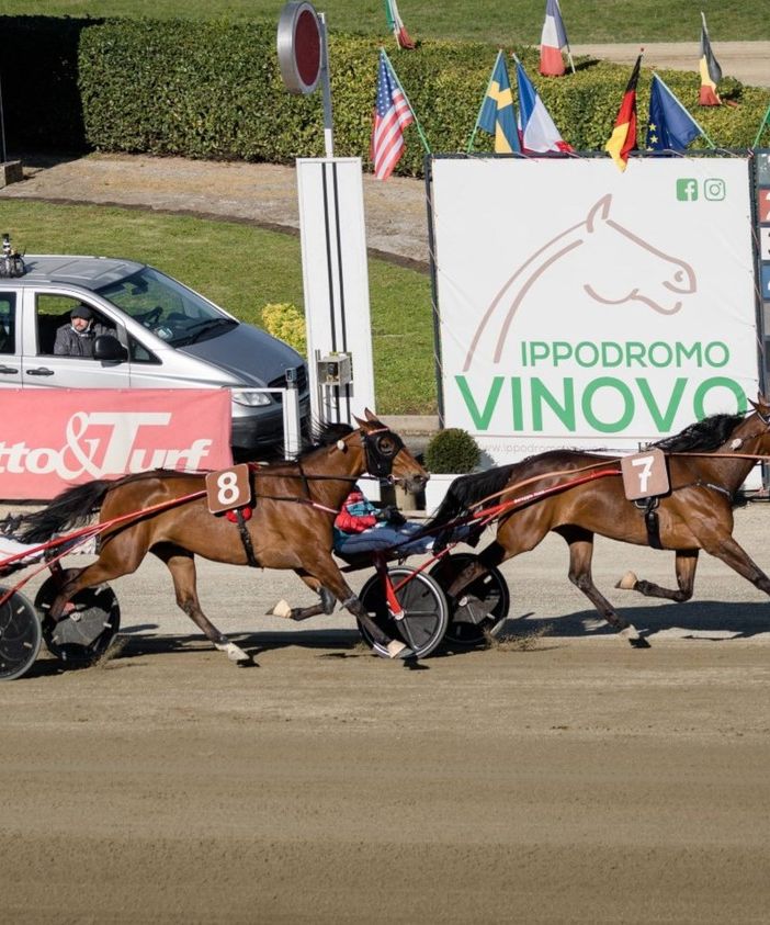 Corse all’Ippodromo di Vinovo per la Festa del Papà: sette gare e sfide all'ultimo trotto