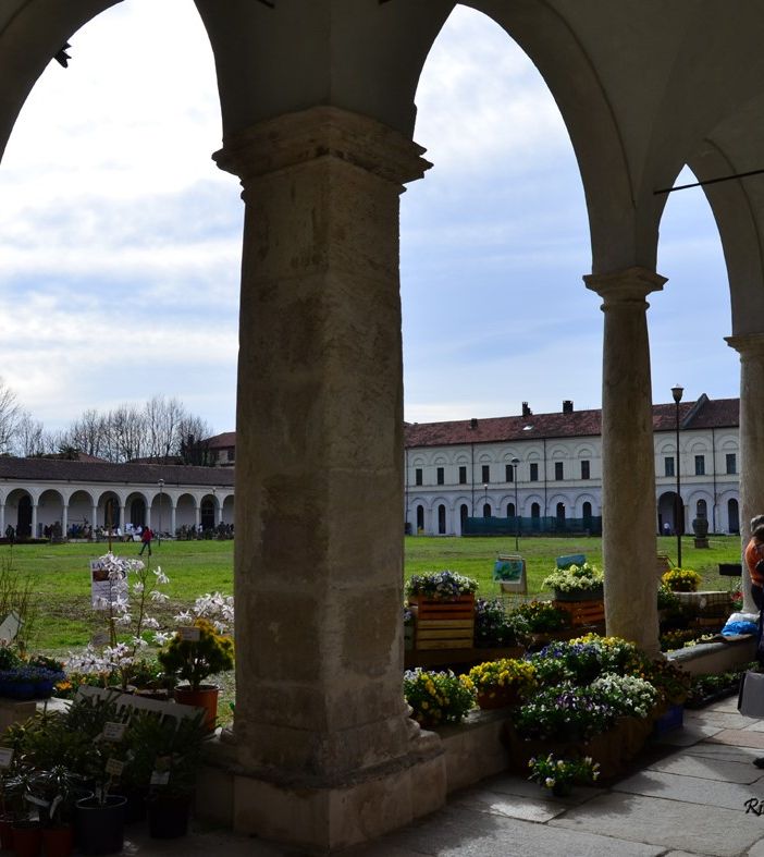 Alla Certosa Reale di Collegno, Follia in Fiore apre la primavera 2025