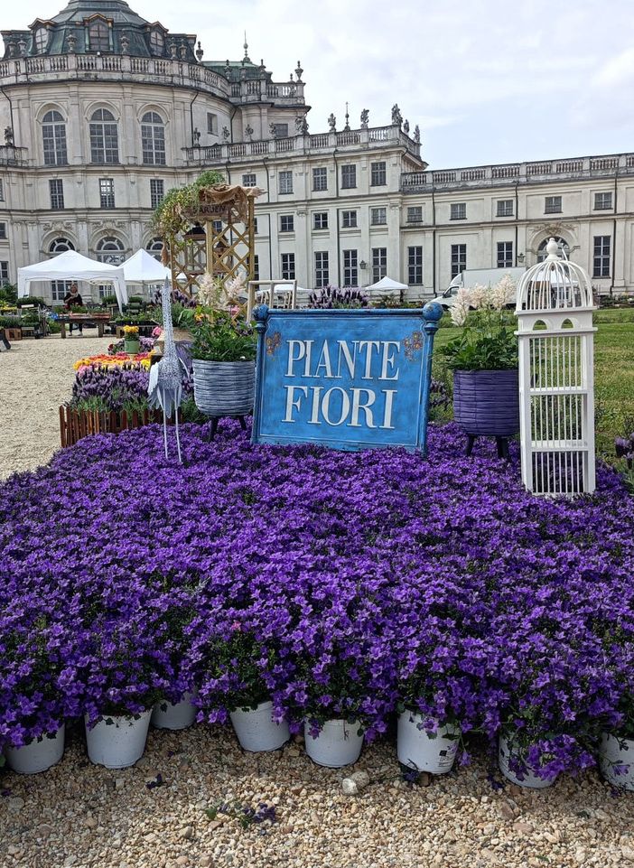 La Palazzina di Stupinigi diventa la 'residenza del green' con Anteprima Floreal