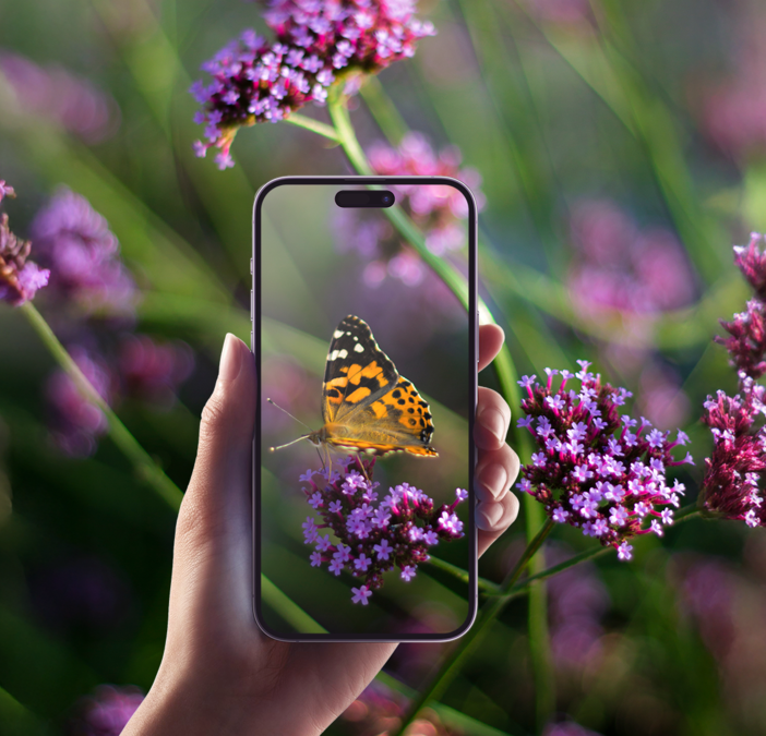 Torino partecipa alla City Nature Challenge 2025