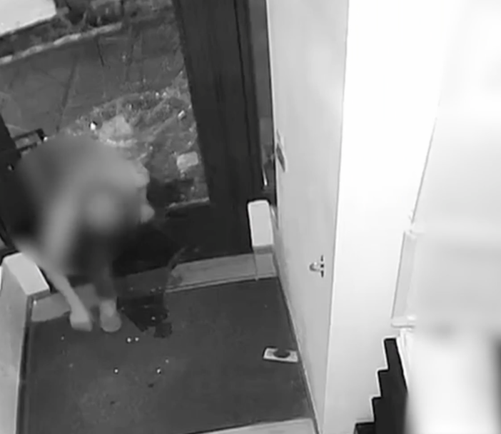 Quindici furti, dal centro alle periferie: preso il “trio” delle spaccate che assaltava i negozi di Torino [VIDEO]