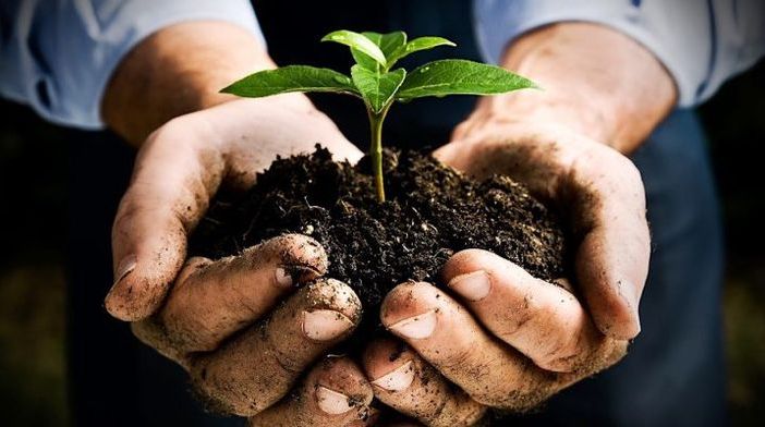 Confagricoltura Piemonte: &quot;Infortuni sul lavoro in calo. L'agricoltura in prima linea nella difesa dei suoi lavoratori”