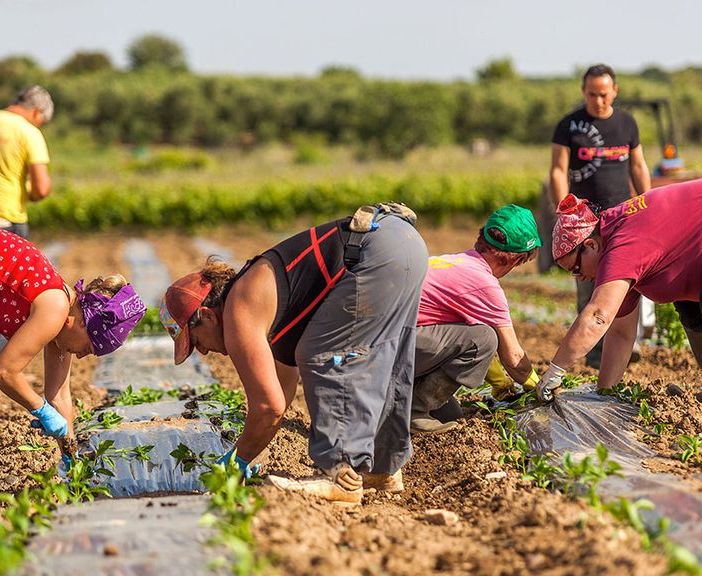 Commissione Legalità: al via il gruppo di lavoro sullo sfruttamento lavorativo