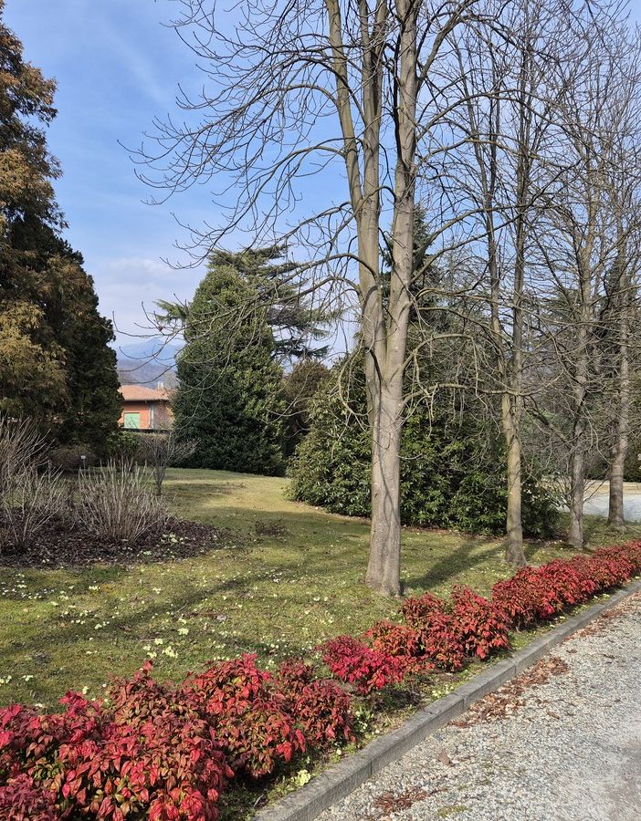 Uno scorcio del parco di Villa Widemann
