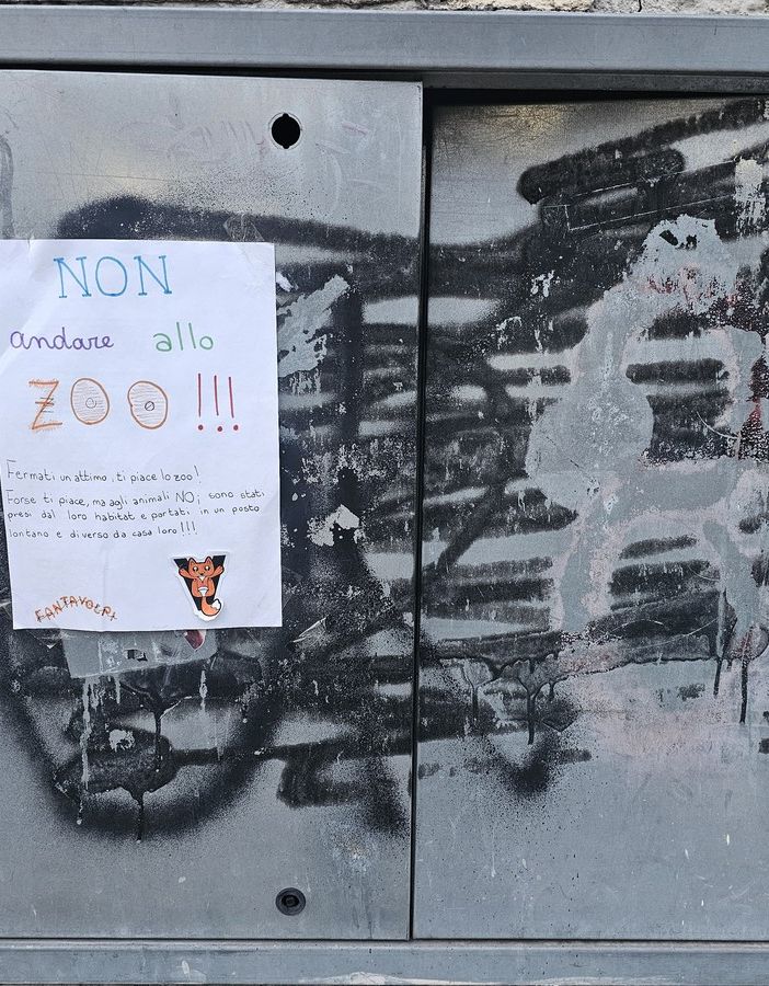 Messaggi ambientalisti in giro per Madonna del Pilone