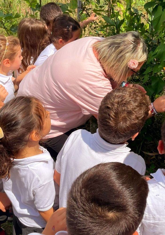 Giornata Internazionale dell’Educazione: l’esempio dell’Istituto Comprensivo Valperga con “3Bee: a scuola di biodiversità”