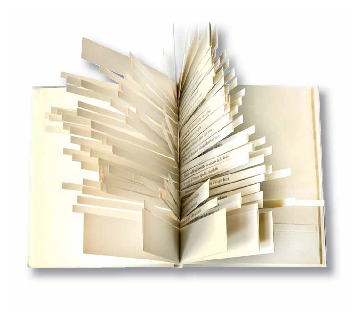 Libri e antichi giochi dai mille volti in mostra a Palazzo Barolo