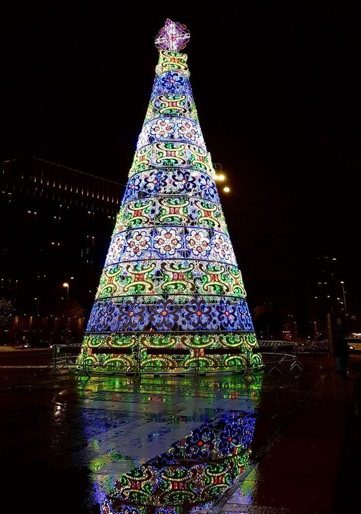 Torino Natale Magico, stasera l'accensione del grande albero alto 23 metri