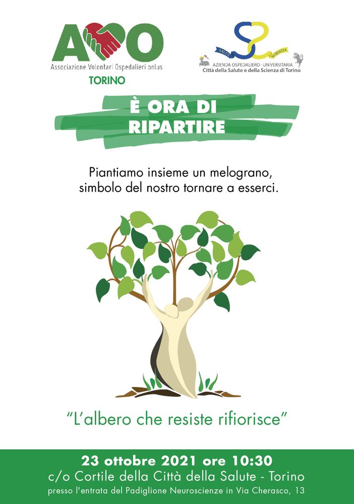 Melograno di Avo Torino
