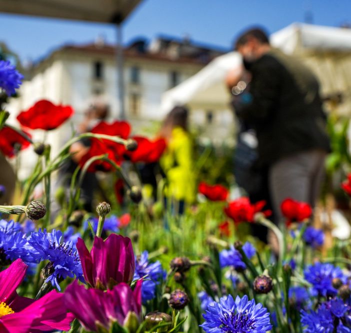 Domenica nel 'salotto' di piazza Vittorio Veneto torna l'appuntamento con Agriflor