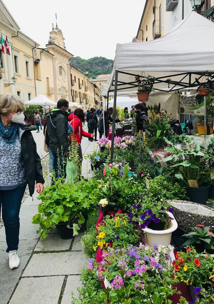 Susa si &quot;tuffa&quot; nel verde: il 15 maggio la seconda edizione di Agriflor