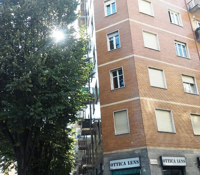 La cura degli alberi in città. Gli interventi in corso a Torino
