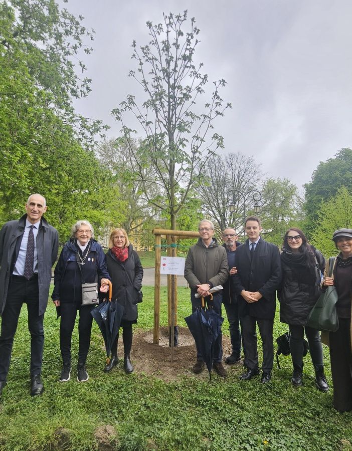 Torino ricorda con un albero Masha Amini, morta per un velo messo male