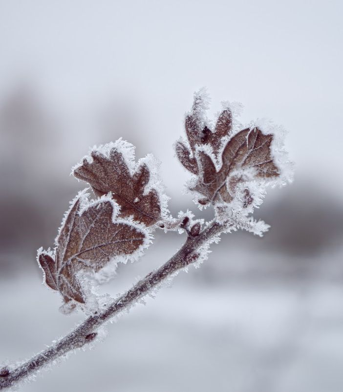 meteo freddo