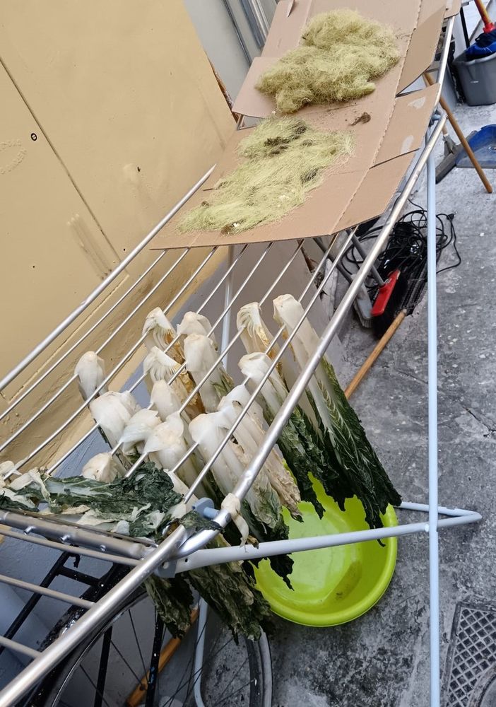 Lavoratori in nero ed alimenti senza etichette: 50mila euro di multa ai locali di San Salvario