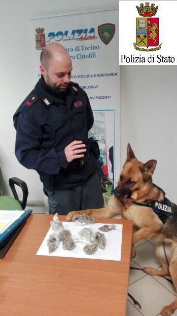 L’addestramento al parco si trasforma in “lavoro”: Alya Kira trova al parco 9 sacchetti di stupefacenti