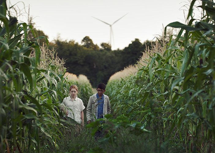 CinemAmbiente in sala e online: 89 film per raccontare la transizione ecologica
