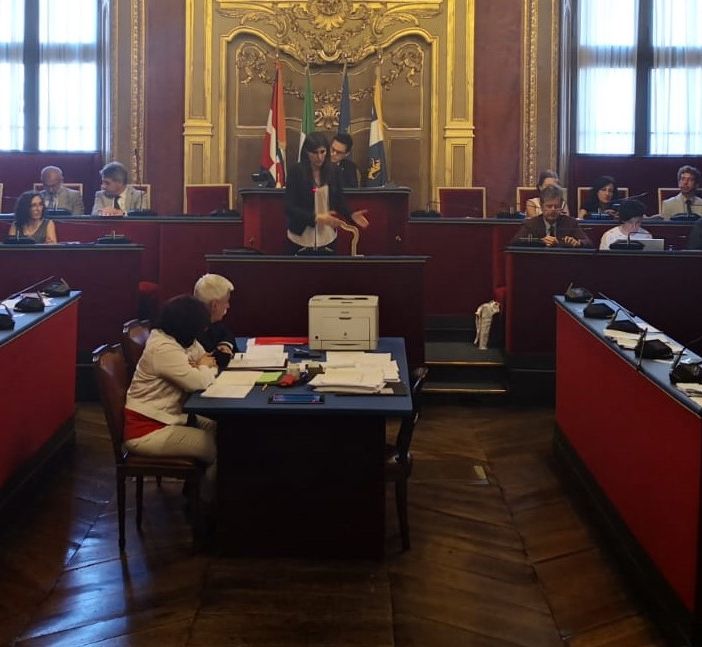 Mozione del Consiglio comunale: &quot;Il Valentino recuperi il suo ruolo di parco cittadino&quot;