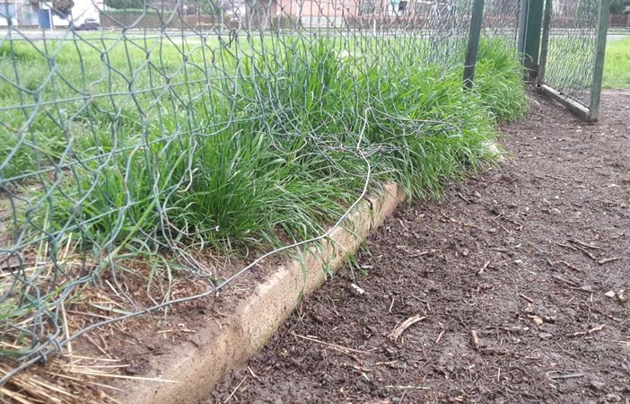 Degrado nell’area cani Salvemini. I padroni: “Gli animali rischiano incidenti, la circoscrizione intervenga”