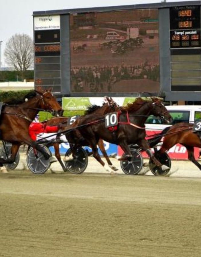 Ippodromo di Vinovo, dal 19 febbraio si torna in pista