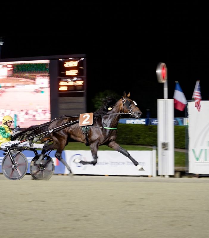 Vinovo, al Gran Premio Marangoni brillano le stelle di  Frank Gio e Funny Gio
