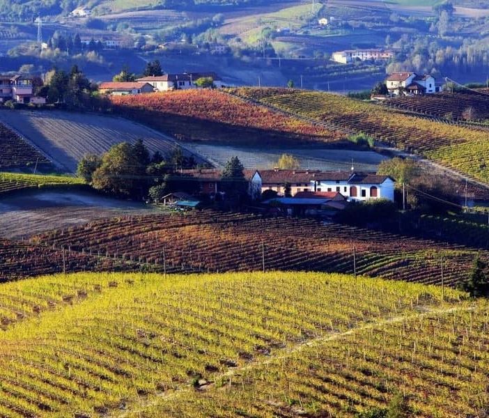 Vuoi organizzare una visita con degustazione in cantina? L’azienda agricola Ivaldi riapre le porte ai visitatori