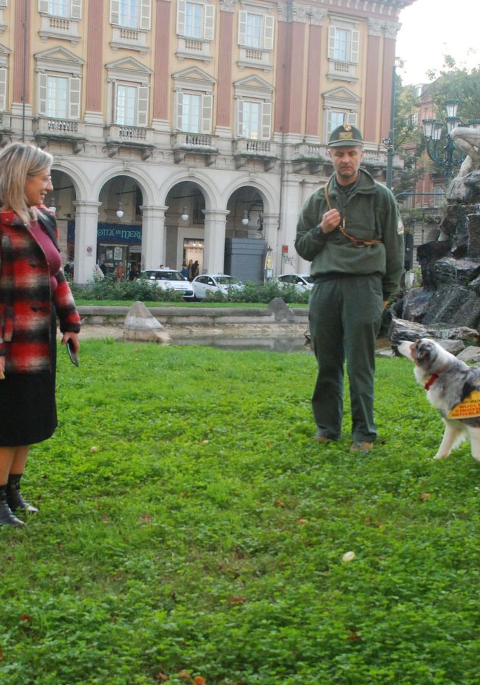 Si chiama Myrtille, l'angelo a 4 zampe che salva i suoi simili dai bocconi avvelenati (FOTO)