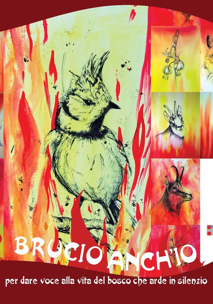 “Brucio anch’io”, in Regione la mostra in ricordo dei boschi divorati dalle fiamme