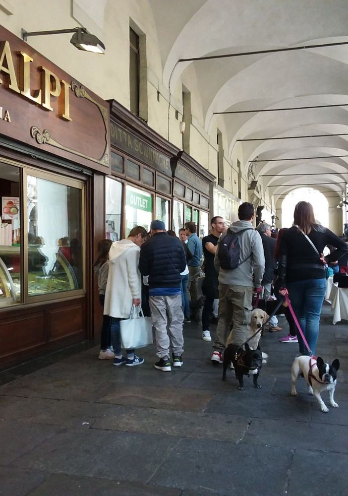 Bau Bau Street, tutti a passeggio con il cane in via Po