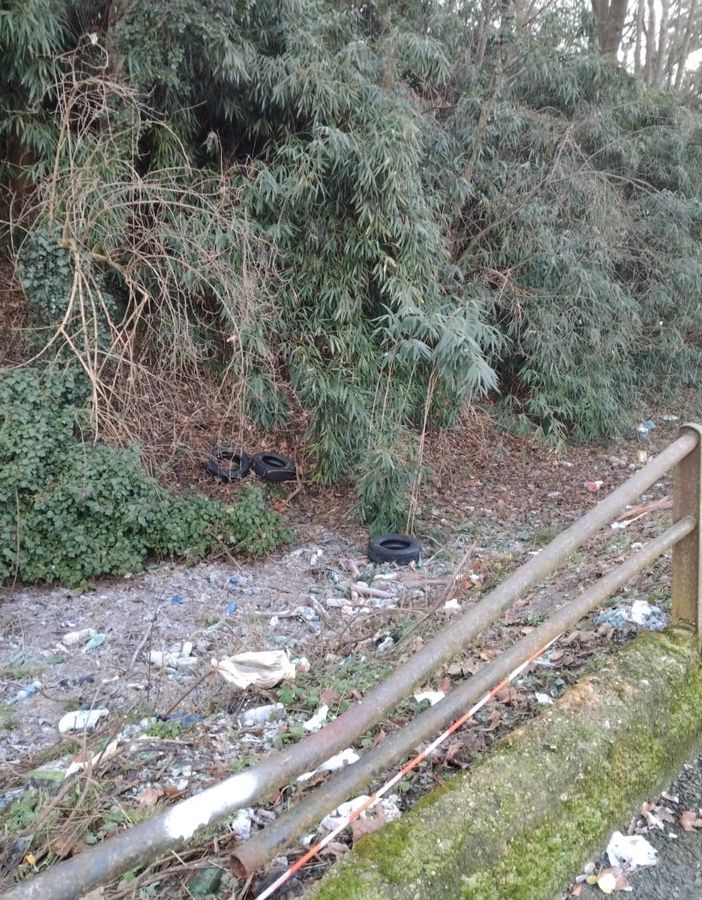 La vecchia bealera trasformata in una discarica illegale: “L’area è terra di nessuno”