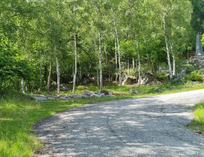 Bosco della val di Lanzo