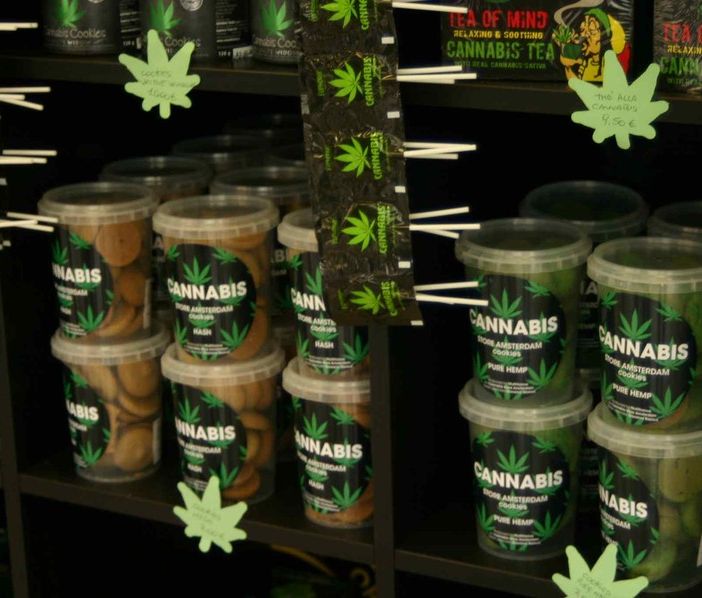 Cannabis, Andrissi–Bono (M5S): “Anche in Piemonte un centro per la produzione di cannabis terapeutica&quot;