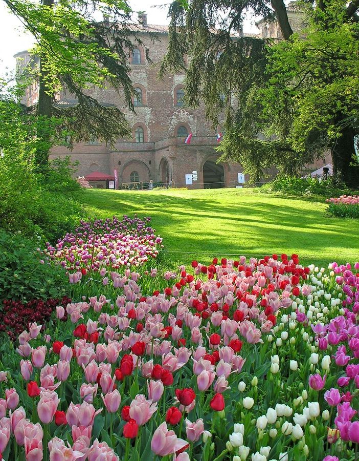 Primavera e tulipani, prosegue l'appuntamento a Pralormo con Messer Tulipano