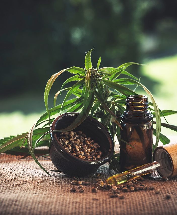 Il CBD, una sostanza non psicoattiva che si trova nella cannabis, può aiutare ad alleviare i sintomi del Covid-19