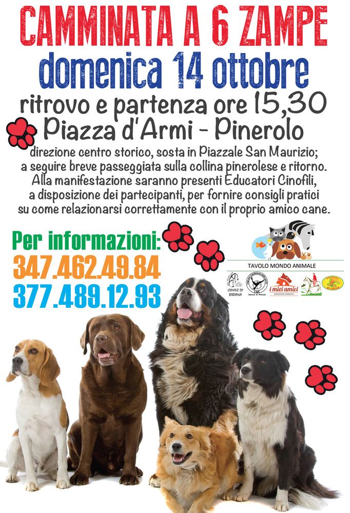 Uomo-Cane a spasso insieme: è la &quot;Passeggiata a sei zampe&quot;