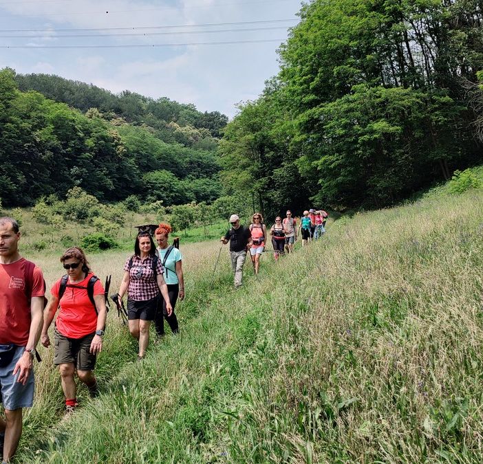 Una due giorni alla scoperta della Collina Morenica