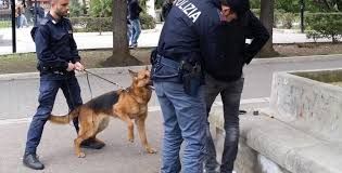 Sorpreso al Valentino con un cliente, pusher scappa e colpisce poliziotto: arrestato