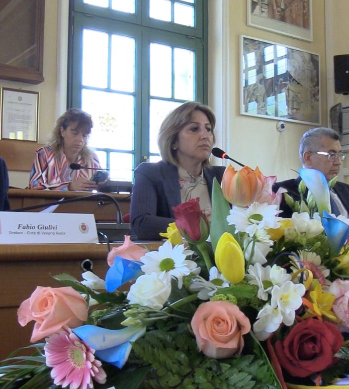 consiglio comunale venaria