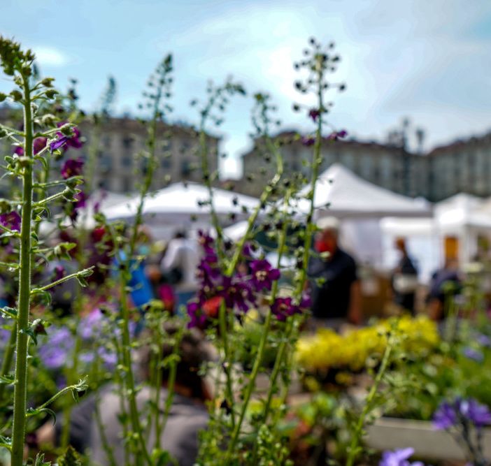 piazza Solferino